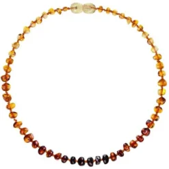 Powell's Owl Amber Baroque Rainbow Necklace