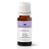 Plant Therapy Quiet Cough Kidsafe Essential Oil Apothecary 1 Plant Therapy Quiet Cough Kidsafe Essential Oil Apothecary