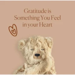 Slumberkins Books + Puzzles Honey Bear Snuggler - Gratitude Collection