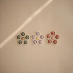 Mushie Dried Thyme + Natural + Shifting Sand Flower Press Toy Toys