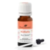 Plant Therapy Ear Relief Kidsafe Essential Oil 2 Plant Therapy Ear Relief Kidsafe Essential Oil