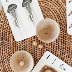 Elm + Otter Wooden Counting Bowls + Felt Balls Toy