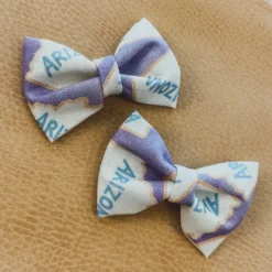 Bows For Show Arizona Pigtail Hair Bow Clips