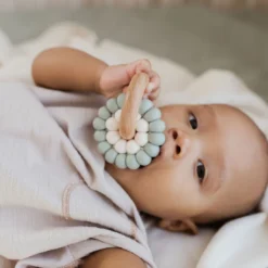 Pretty Please Teethers Ether Reed Teething Ring Rattle Toy