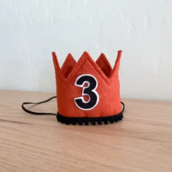 Cutest Little Party Party Time # 3 Copper Felt + Black Pom Trim + Black/white Crown