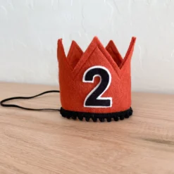 Cutest Little Party # 2 Copper Felt + Black Pom Trim + Black/white Crown Party Time