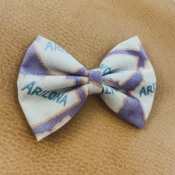 Bows For Show Arizona Hair Bow Clip